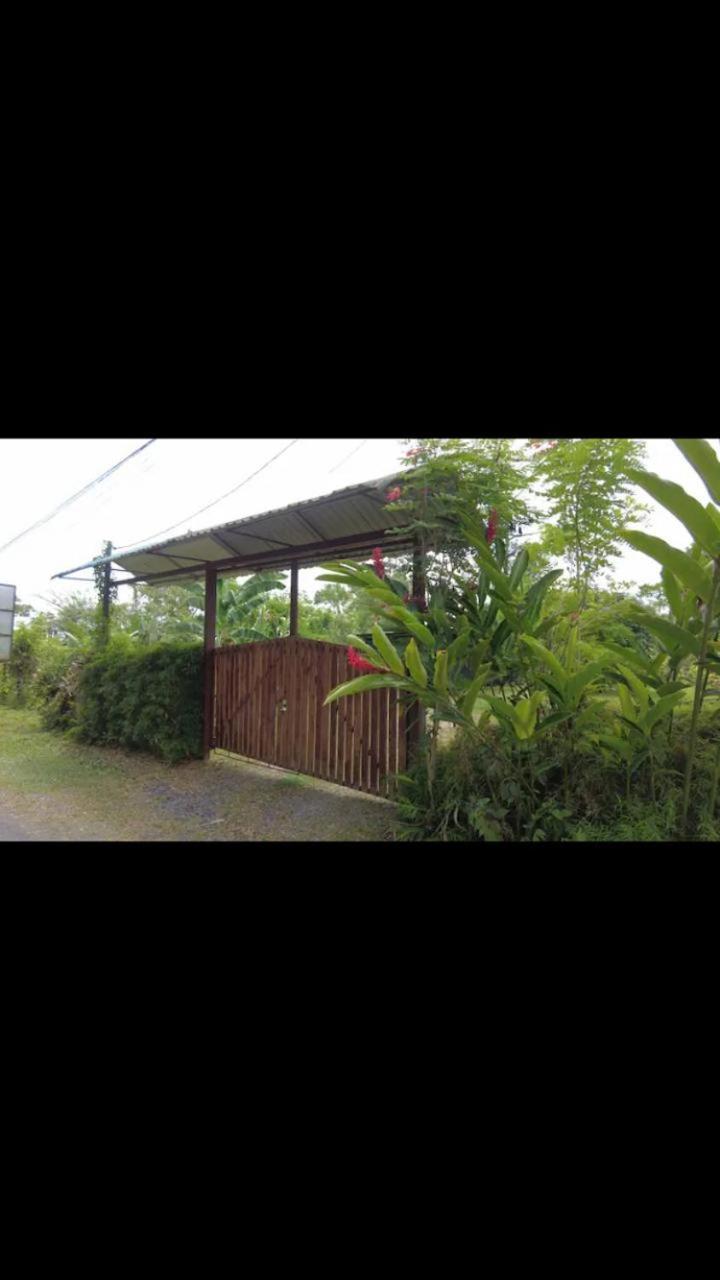 Arenal Hostel La Catarata La Fortuna Extérieur photo