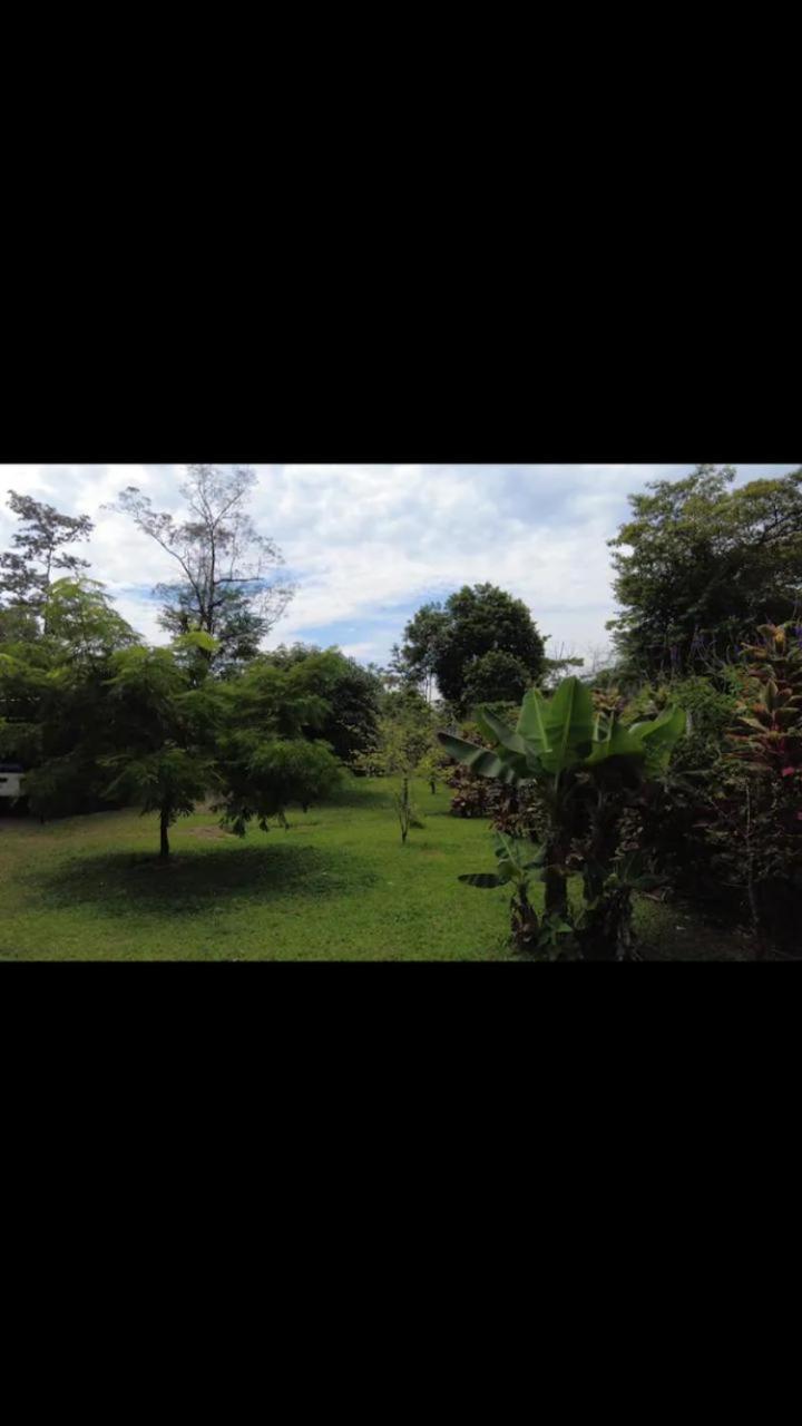 Arenal Hostel La Catarata La Fortuna Extérieur photo